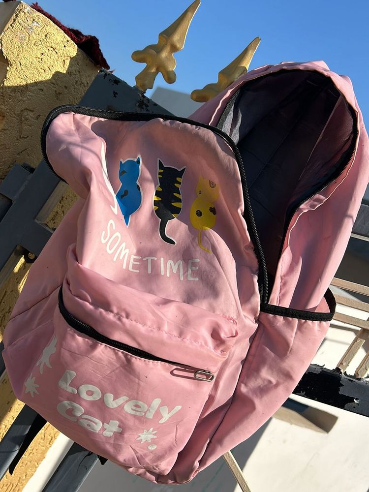 Backbag
