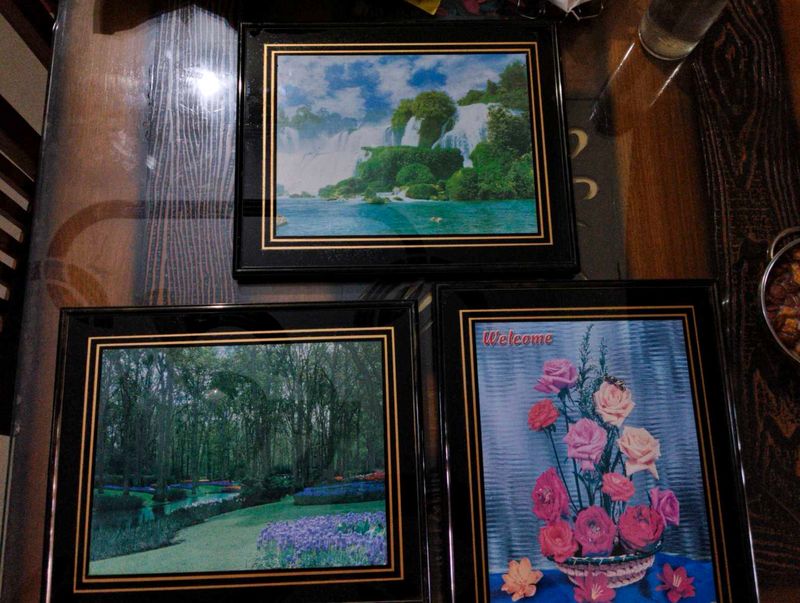 Set of 3 Glass Framed Pictures