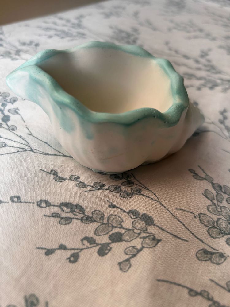 Ceramic Seashell - Ocean Collection 🐬