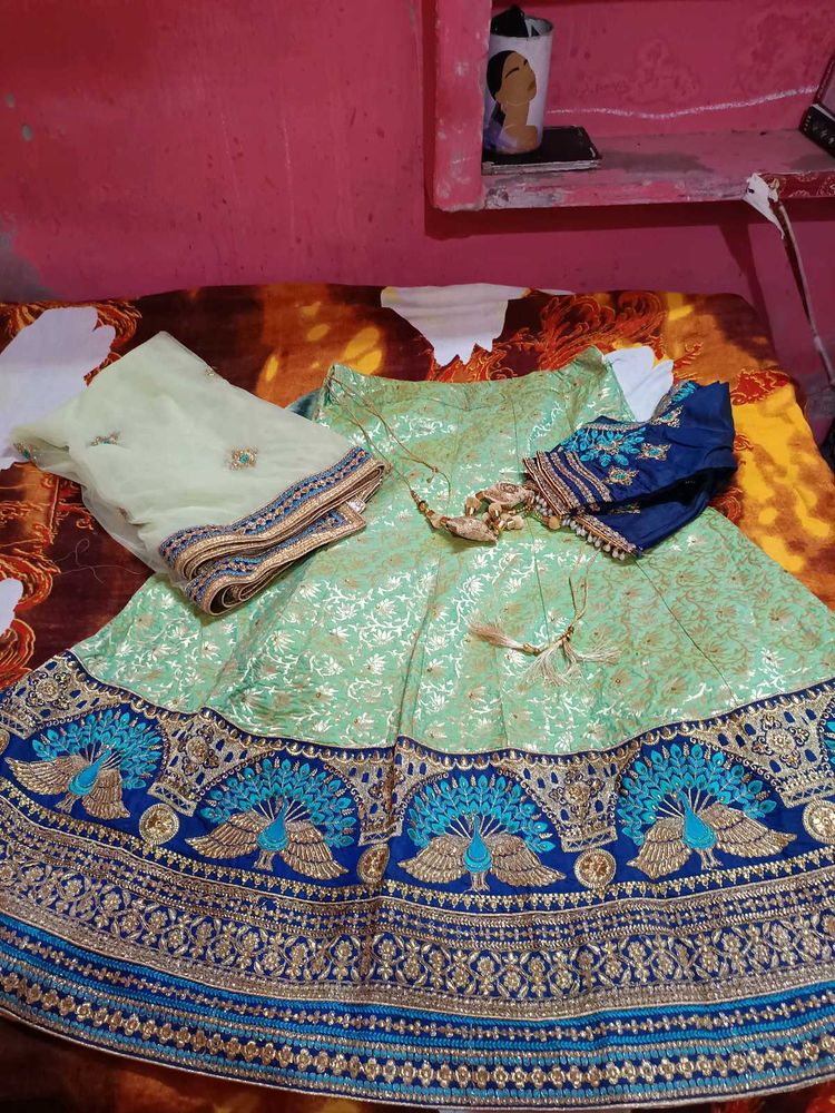wedding pista green peacock heavy work lehenga set