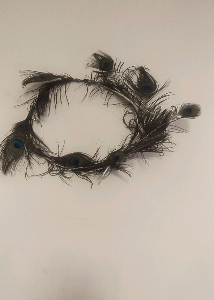 Because Feather Decorative Item