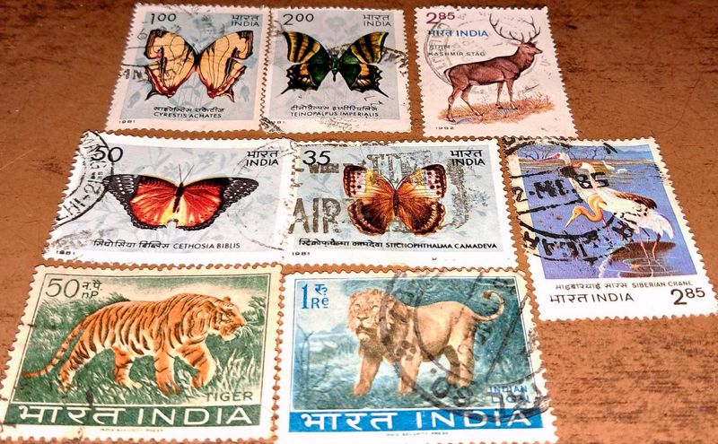 Set of 1980s Vintage butterfly &amp; wildlife