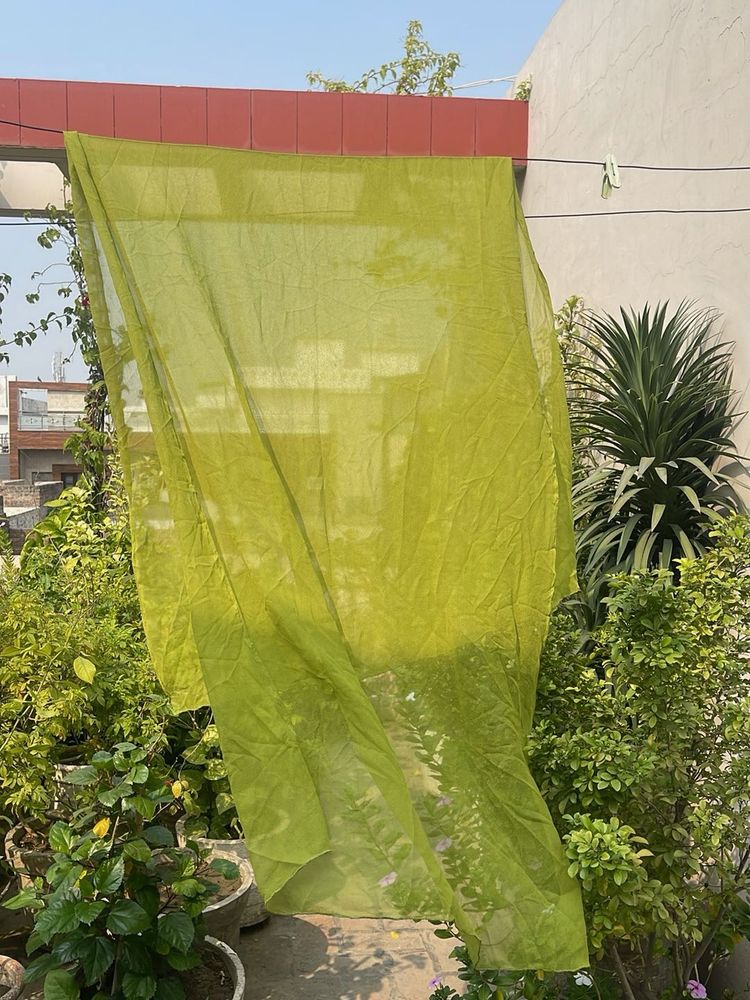 Lightweight Green Dupatta