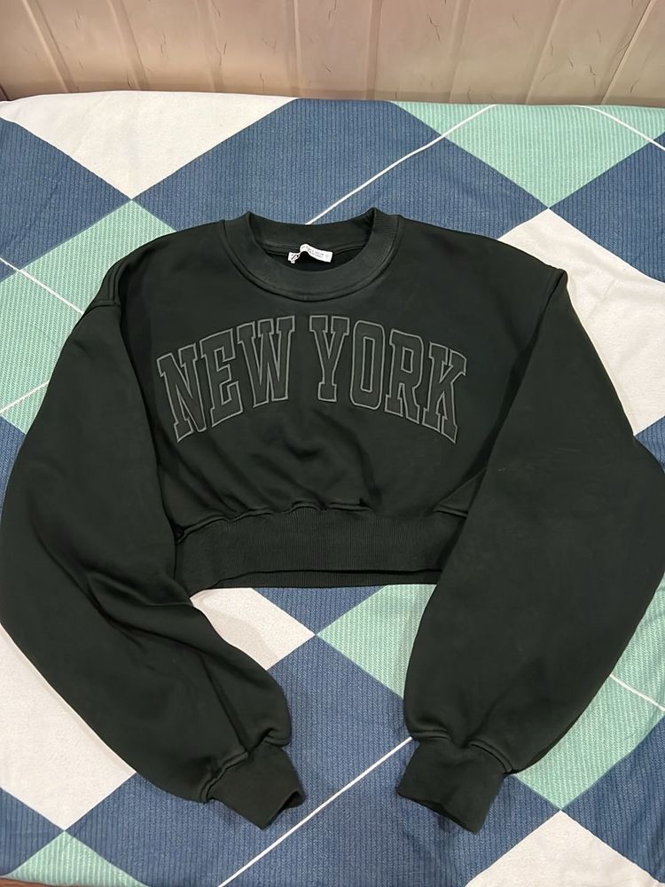 Zara Crop Green Dark Sweat Shirt