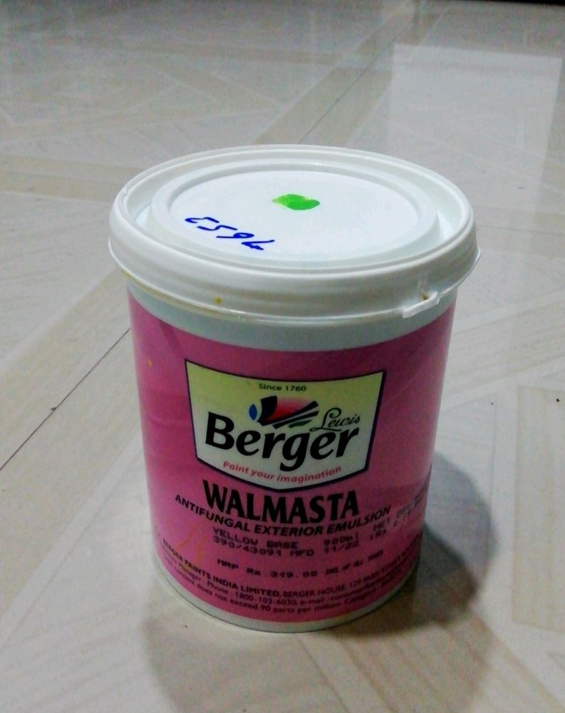 Berger आर्ट वर्क&amp;दीवार पेन्टिंग ग्रीन कलर ( 1लीटर)