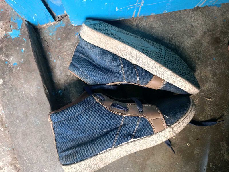 shoe