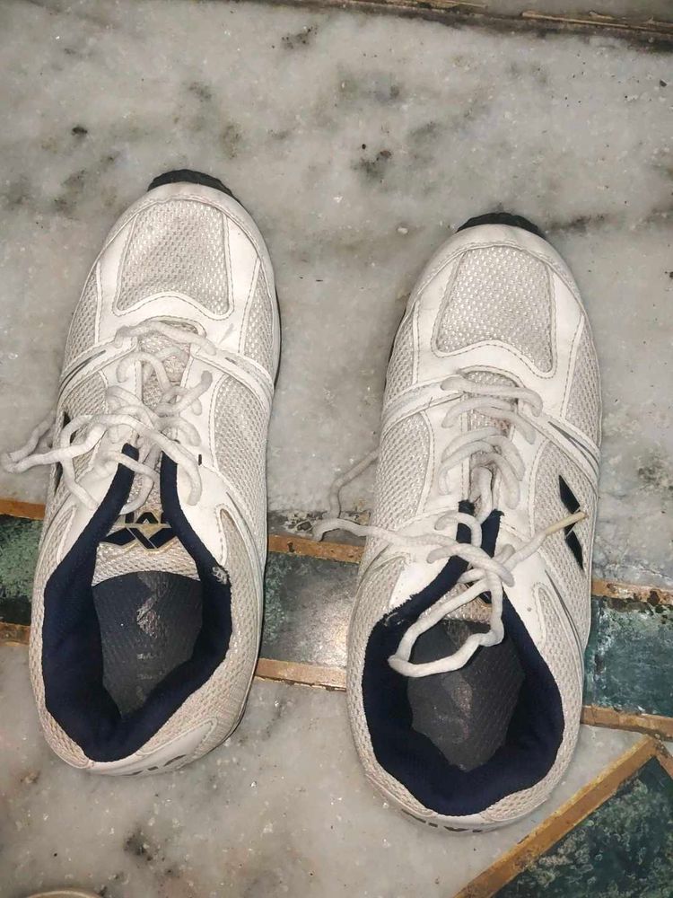 White &amp; Navy Athletic Shoes