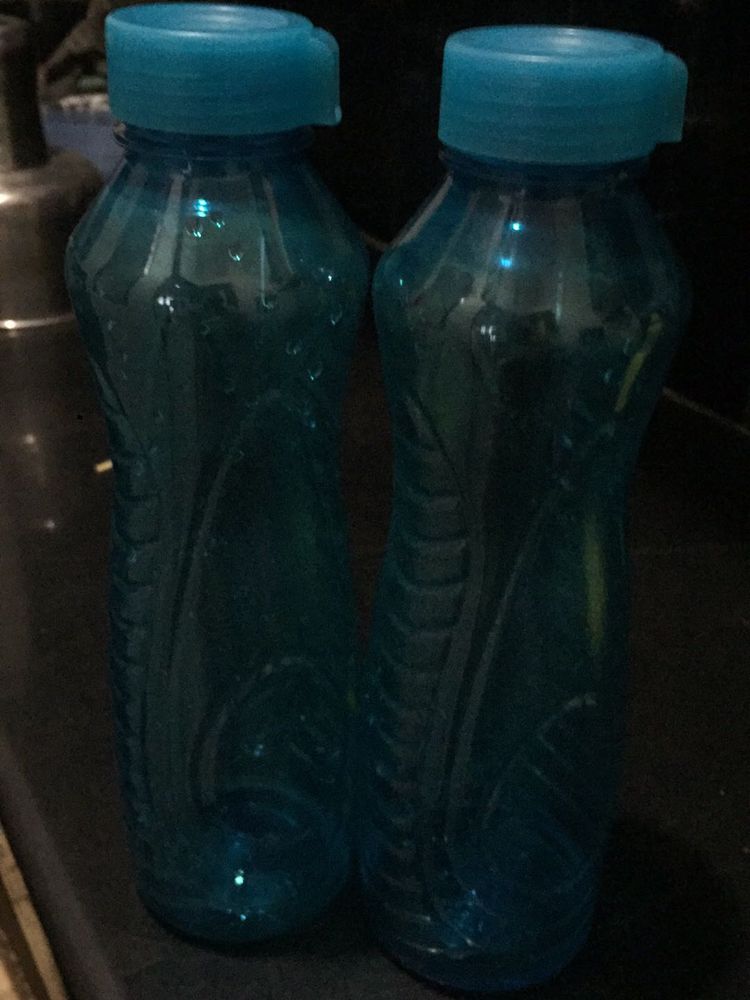 Water Bottle