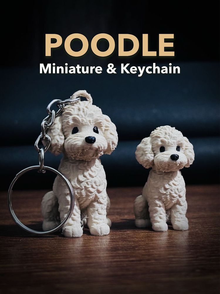 Cute Poodle Keychain &amp; Miniature Set