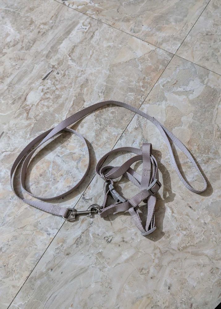 Cat Harness and Leash Set