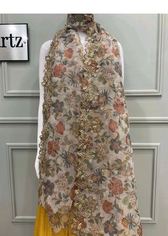 Beautiful Organza Self Design Dupatta(Beige Coour)