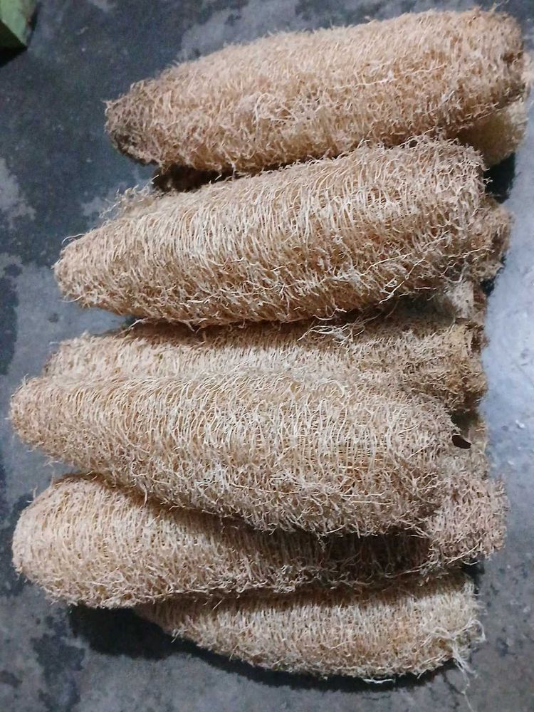 Natural Loofah Sponges