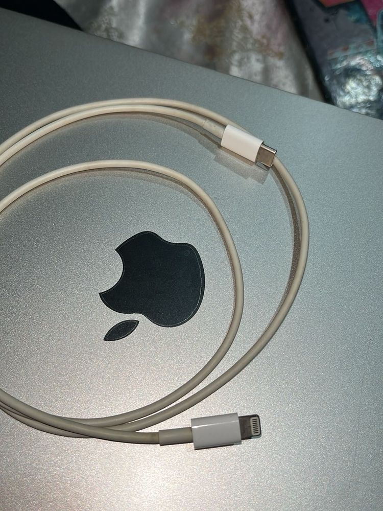 Apple USB-C to Lightning Cable