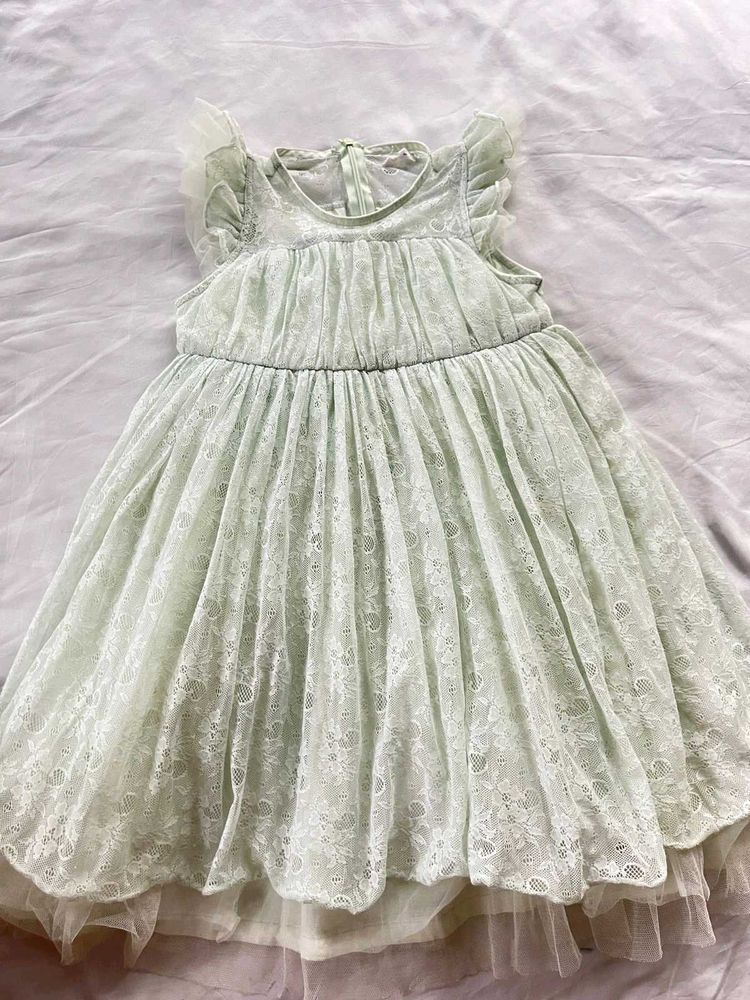 Elegant Lace Dress