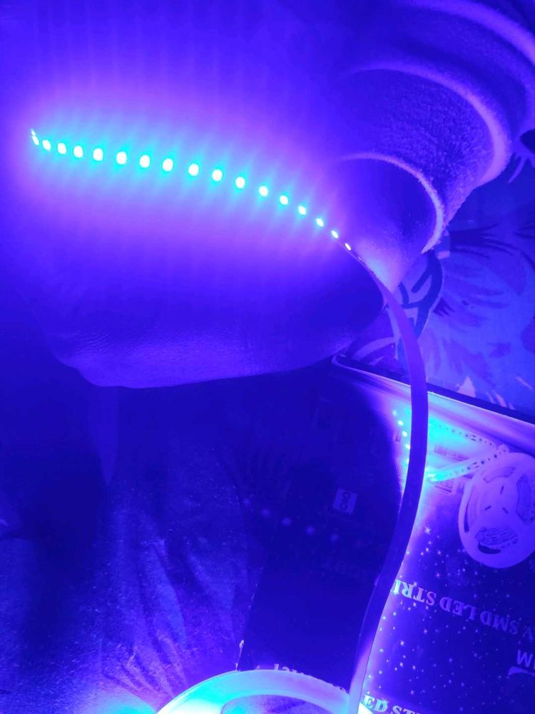 5m 12v Any Colour Strip Light  Available