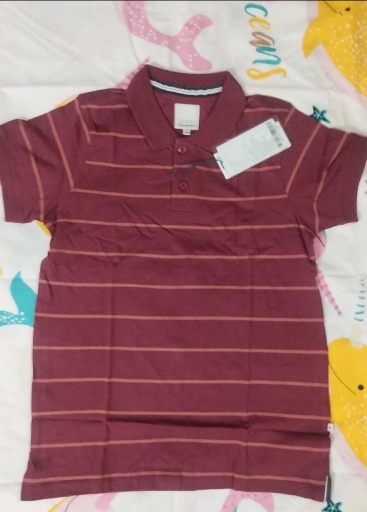 Pure Cotton Polo Neck Tshirt