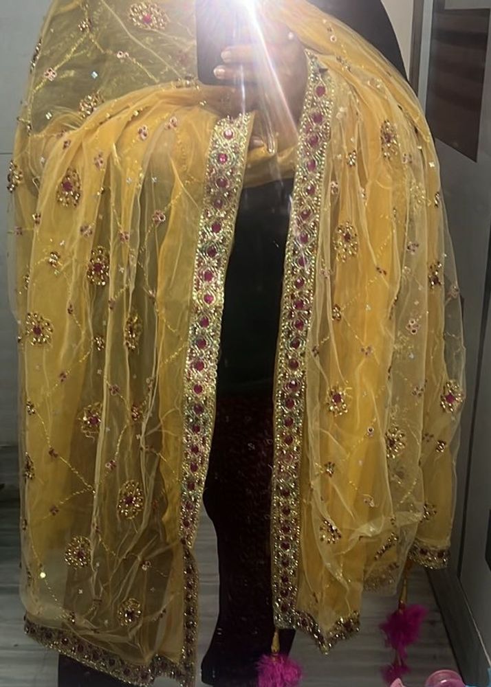 Partywear Dupatta with Tassels