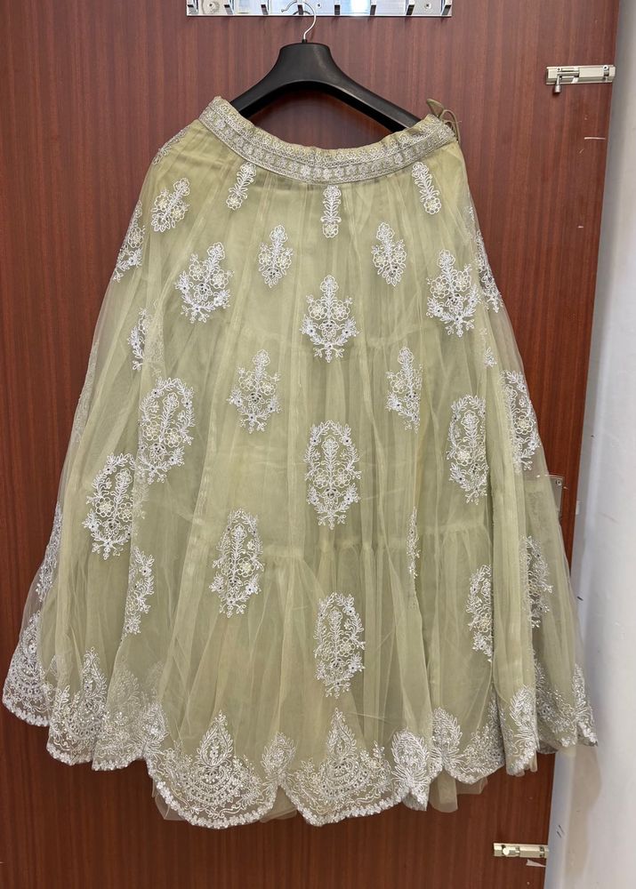 pastel green lehnga choli