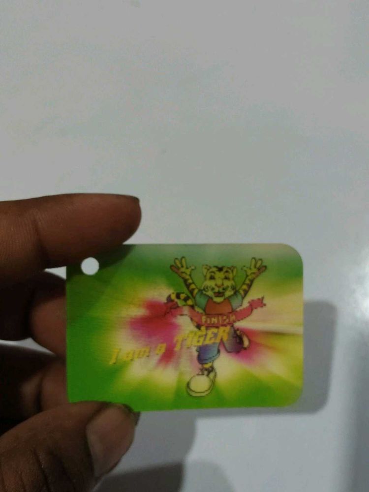 Junior Tiger Collectible Tag