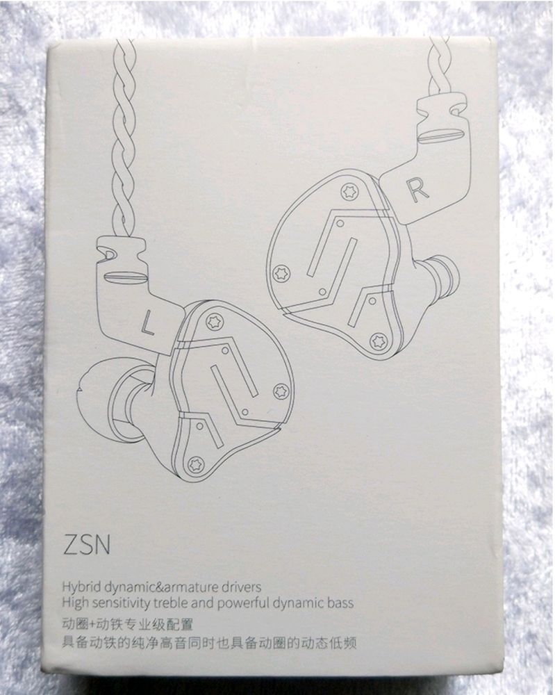 KZ ZSN IEM (First Model) (Customised)