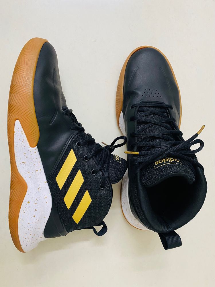 Original Adidas Basketball/Casual Shoes For Men