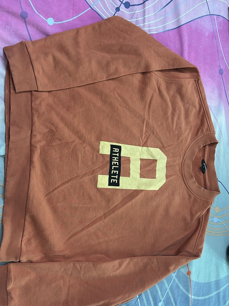 The Zudio Brand Sweatshirt