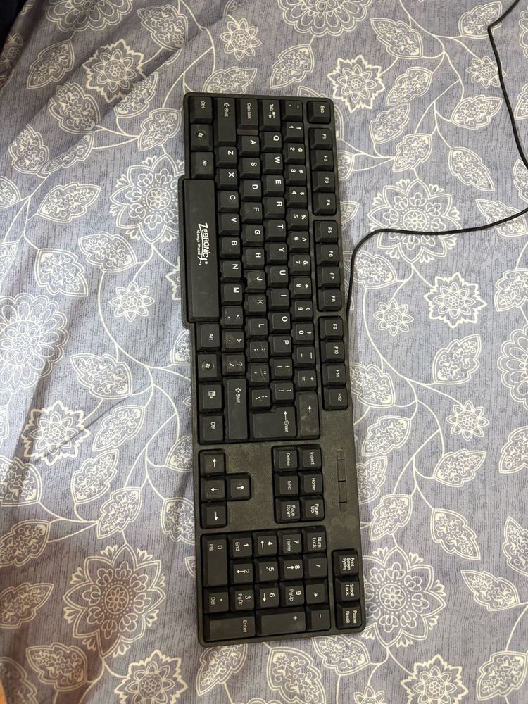 Brand New Zebronics And Zinq Wired Keyboards