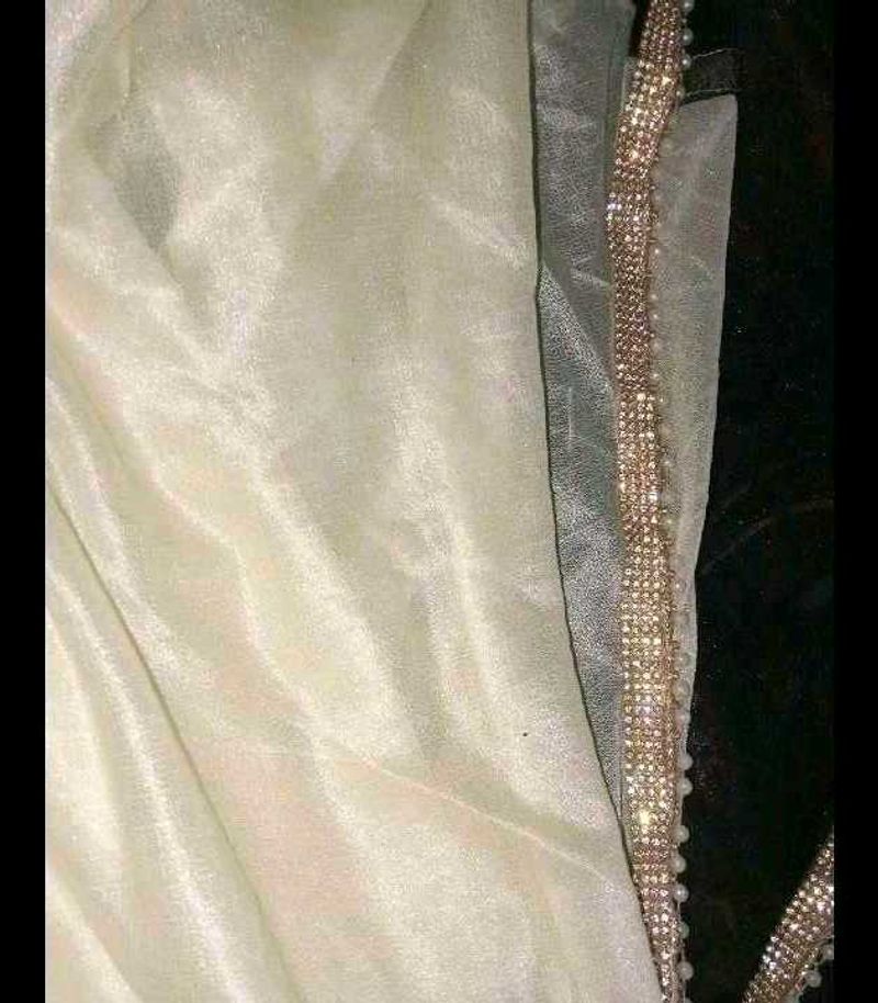 Elegant Embellished ready to wear saree blous