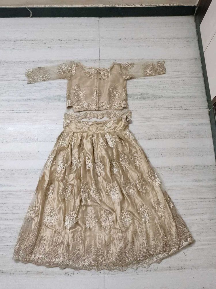 Elegant Embellished Lehenga Choli Set