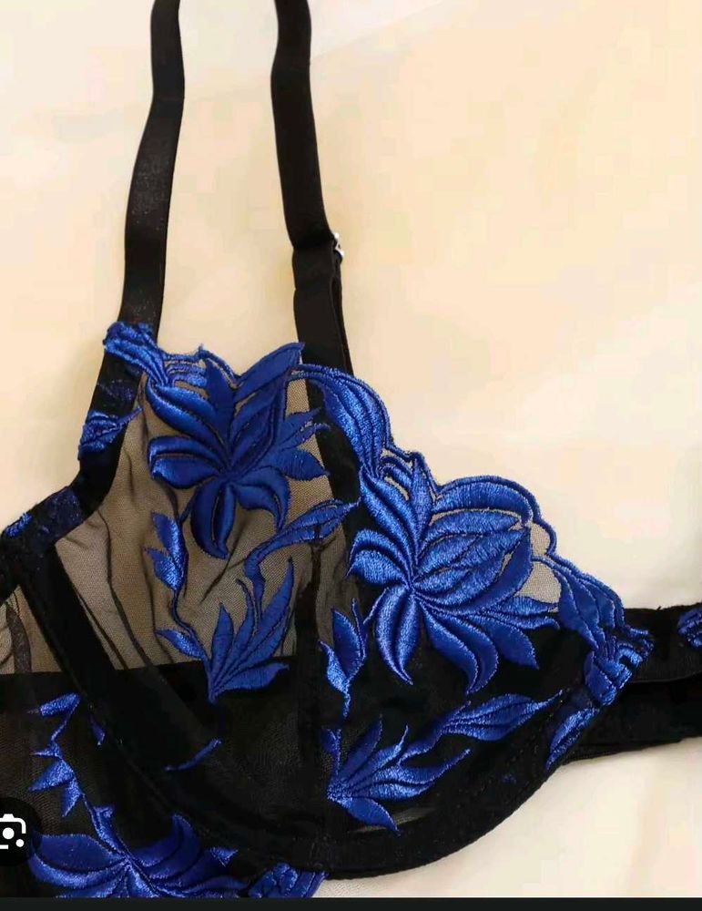 Embroidered Sheer Bra with beautiful brief