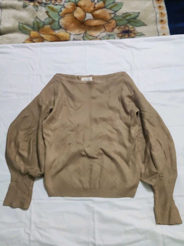 Stylish Balloon Sleeve Top