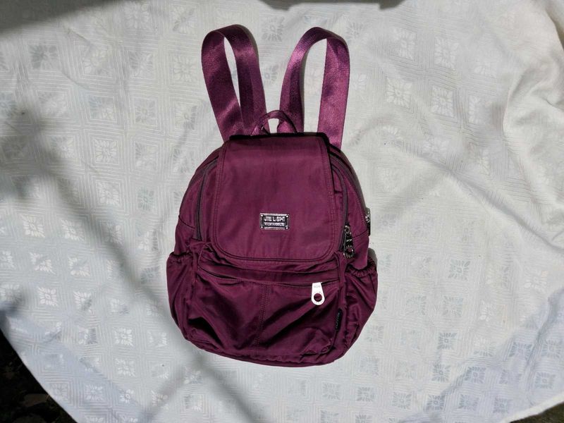Chic Purple Mini Backpack