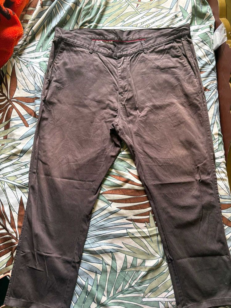 Men's Brown Casual Pants