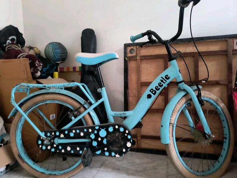 Beetle Kids Bicycle