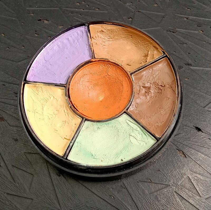 INSIGHT Pro Concealer Pallette ❤️
