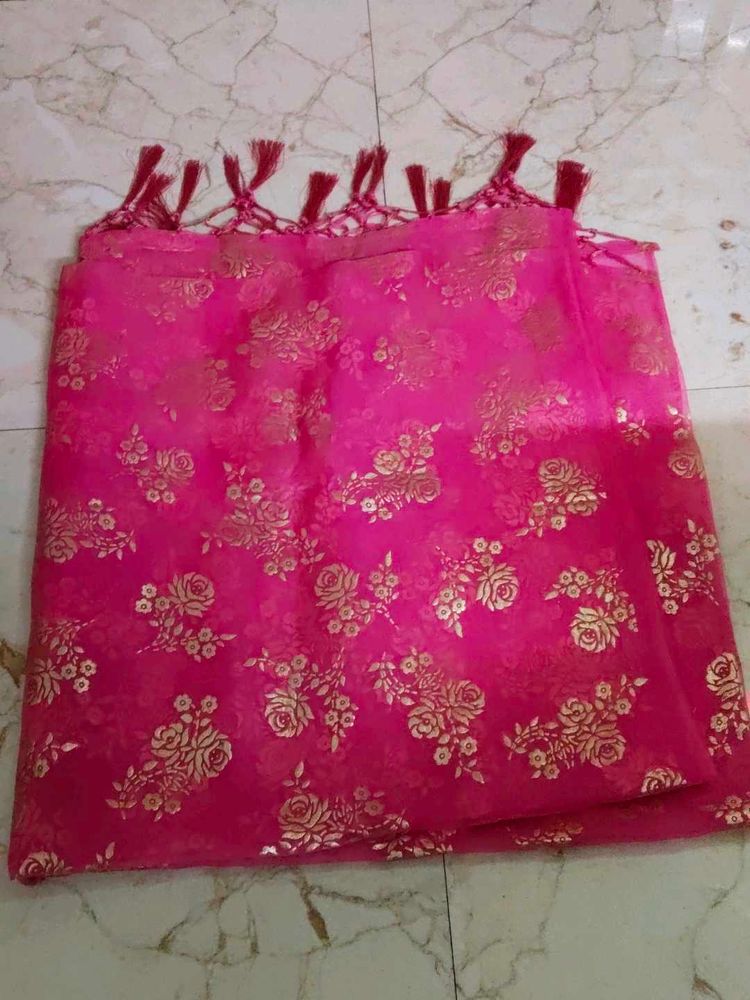 Vibrant Pink Floral pure organza Dupatta