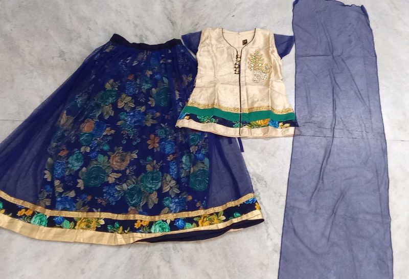 Lehenga Choli (indo western dress)