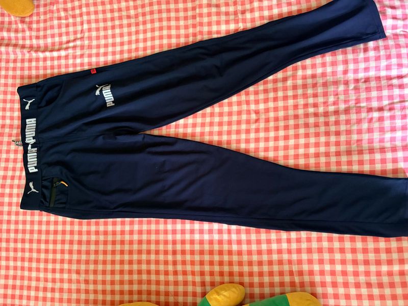 Puma Navy Blue  Pants