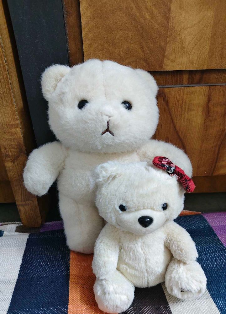 Teddy Bear combo (2 pic)