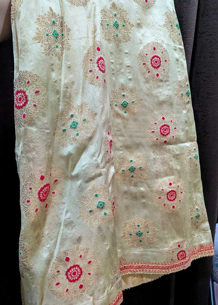 Beautiful Embroidered Ethnic skirt.