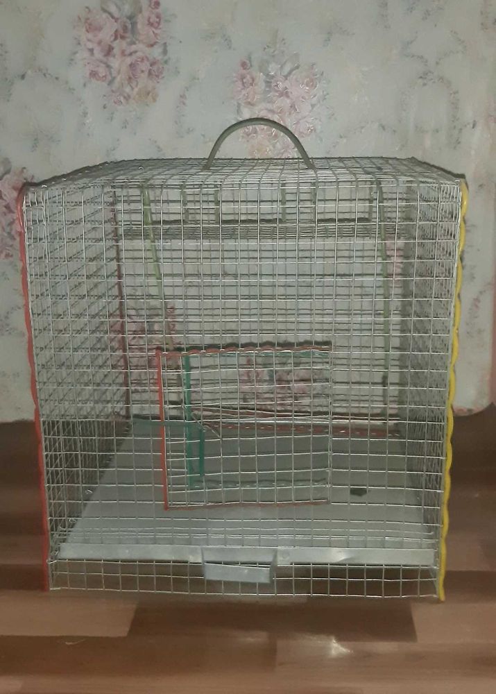 New Bird Cage