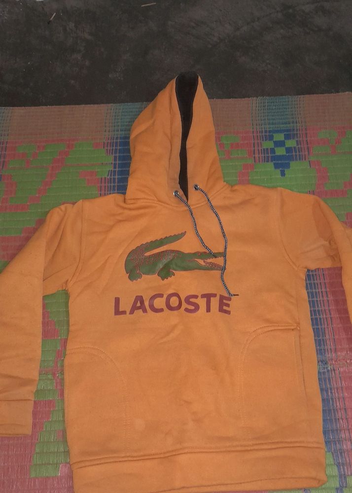 Hoodie Sweater