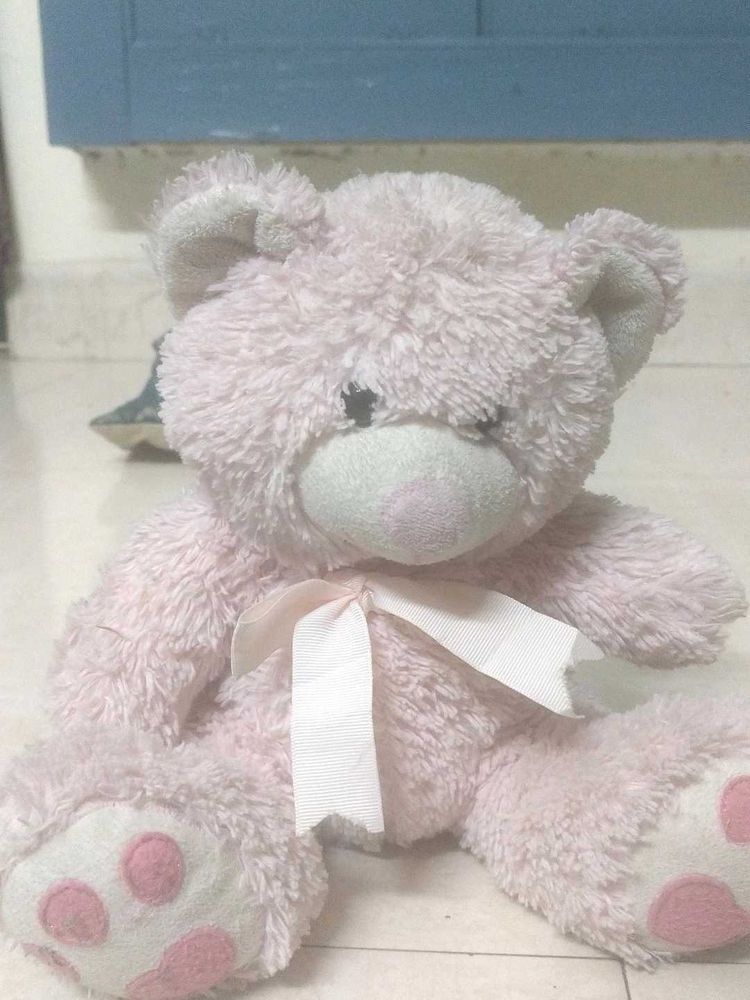 Cute Pink Teddy Bear Plush Toy