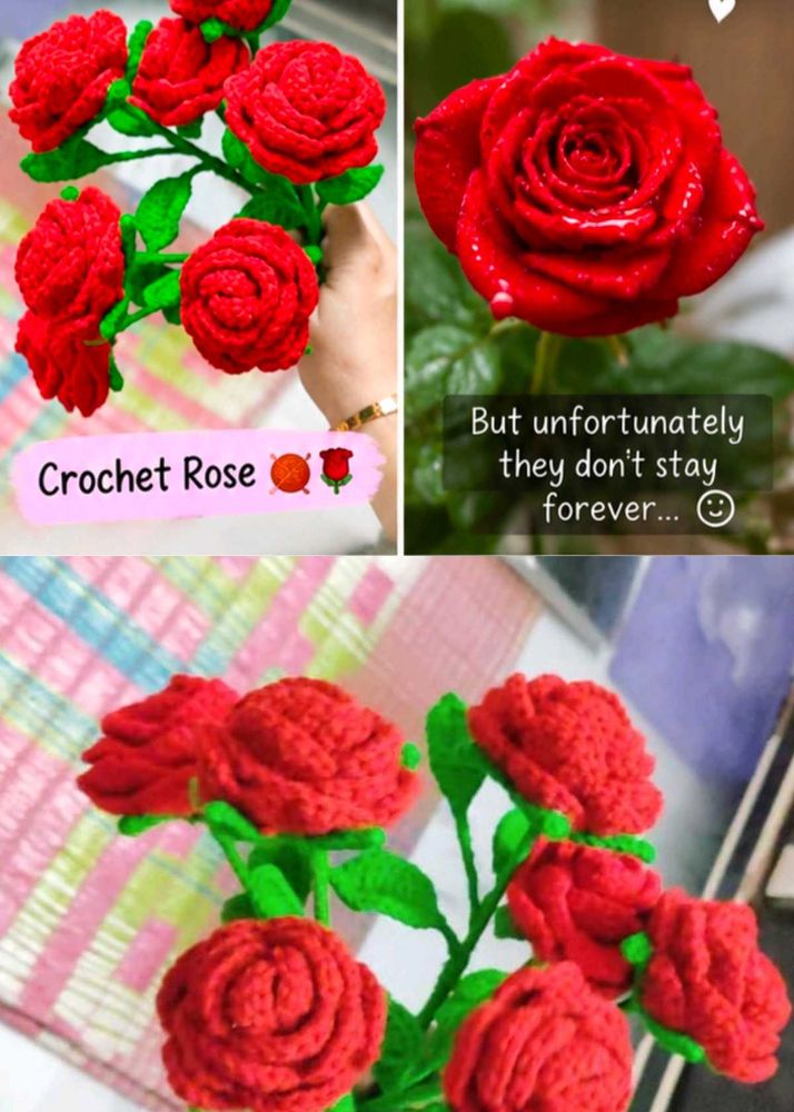 Handmade Crochet Red Roses