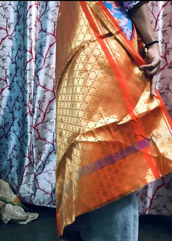 Elegant Orange &amp; Gold Saree