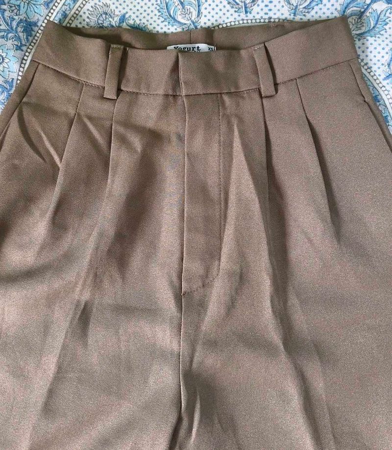 Stylish Pleated Taupe Pants