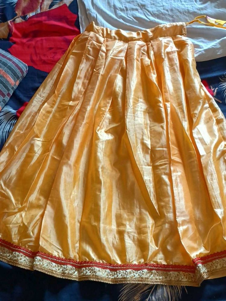 Golden Ethnic Skirt with Red Border