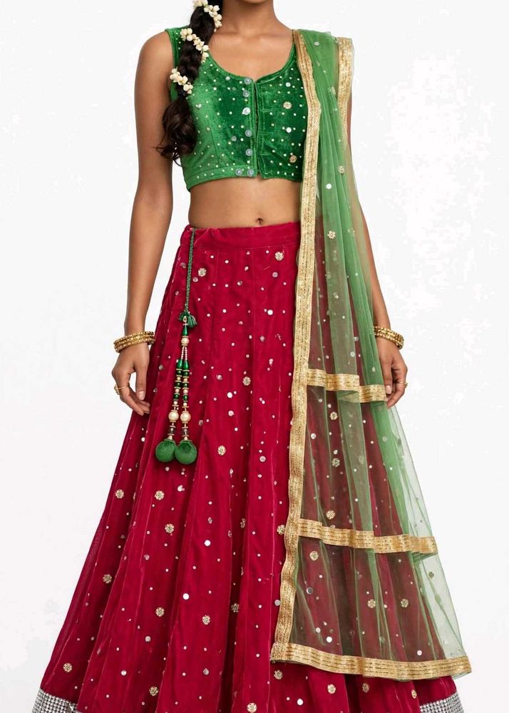 Embellished Lehenga Choli Set