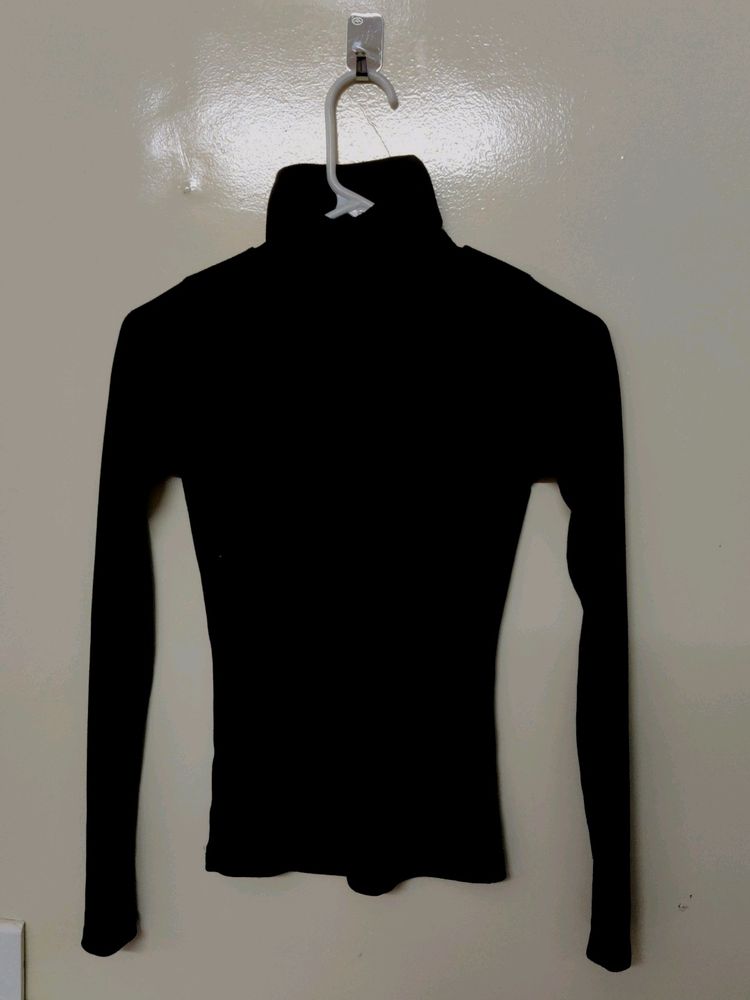 Black Solid Long Sleeve Turtle Neck Office wear T