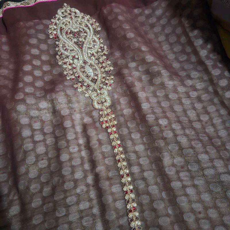 Embellished saree